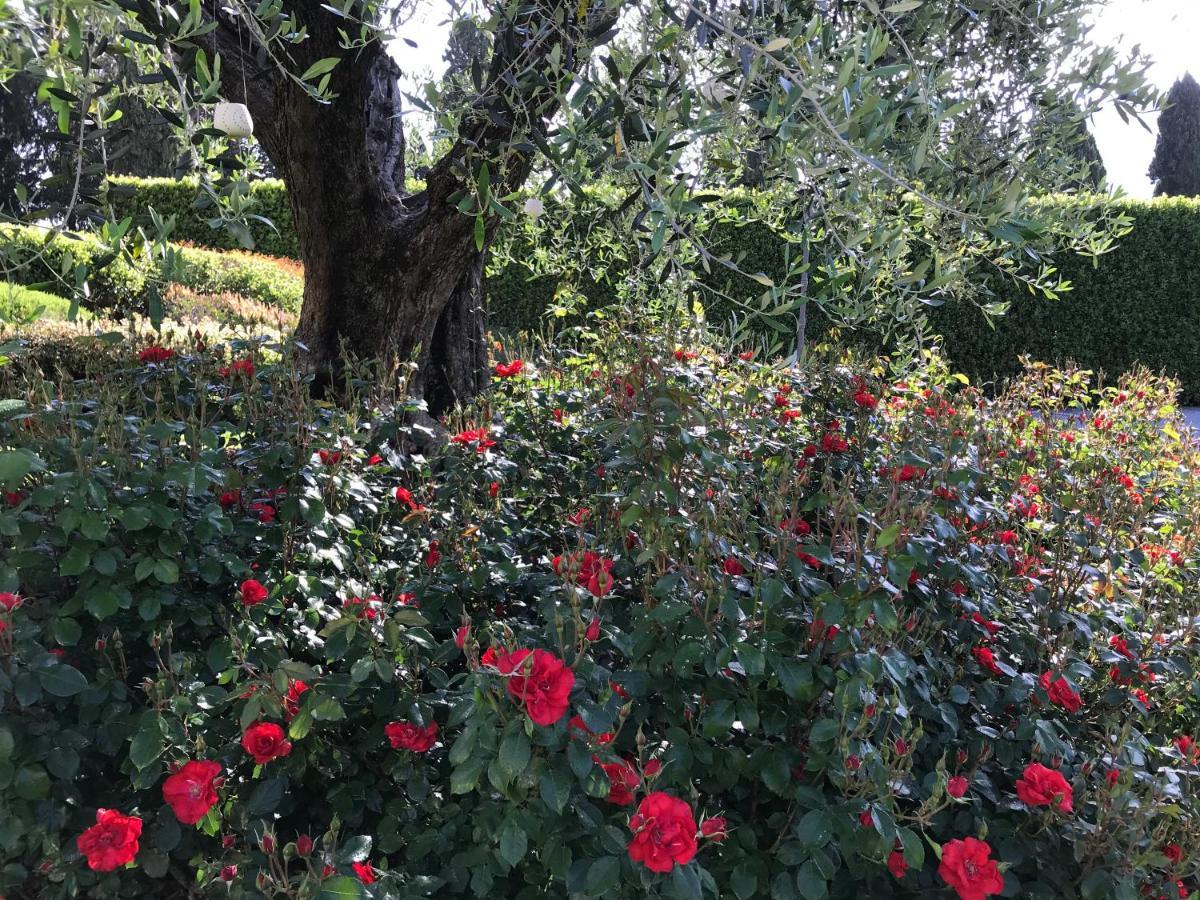 לוקה Villa Del Papa מראה חיצוני תמונה